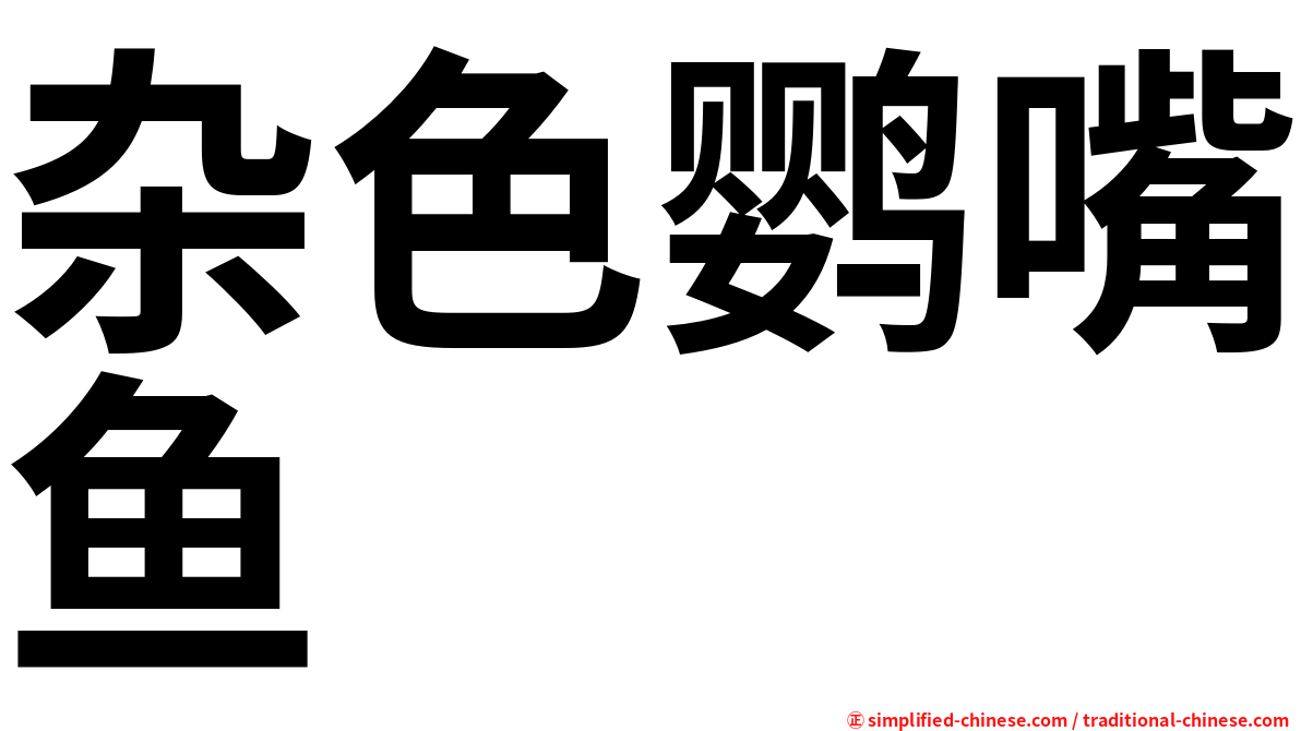 杂色鹦嘴鱼