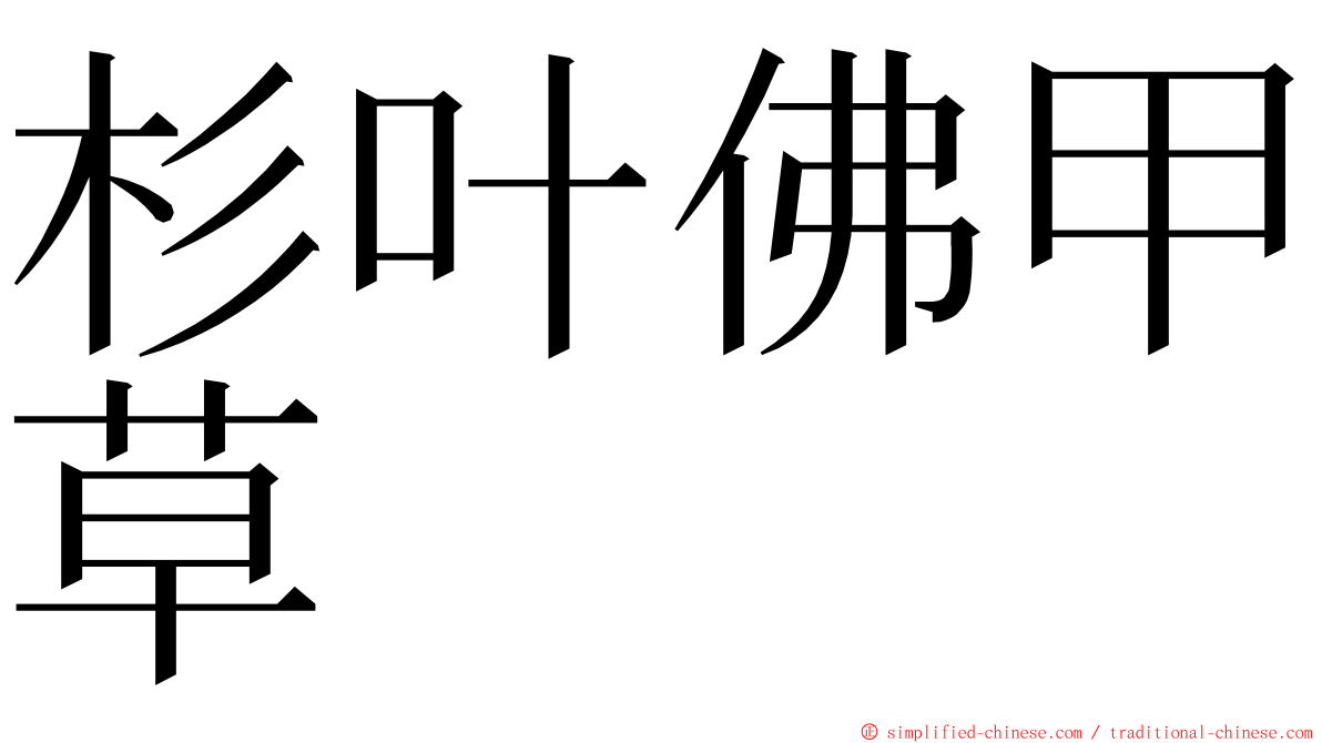 杉叶佛甲草 ming font