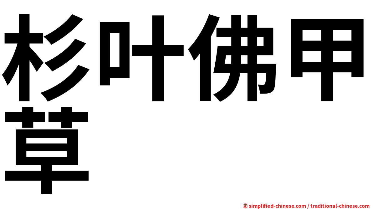 杉叶佛甲草