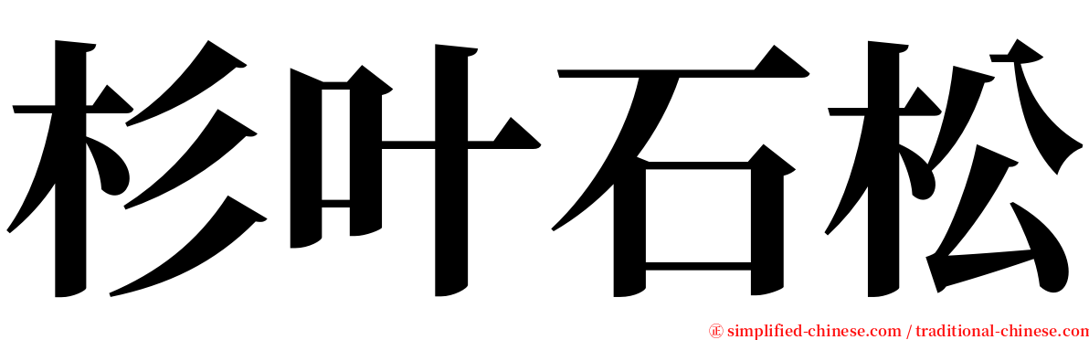 杉叶石松 serif font