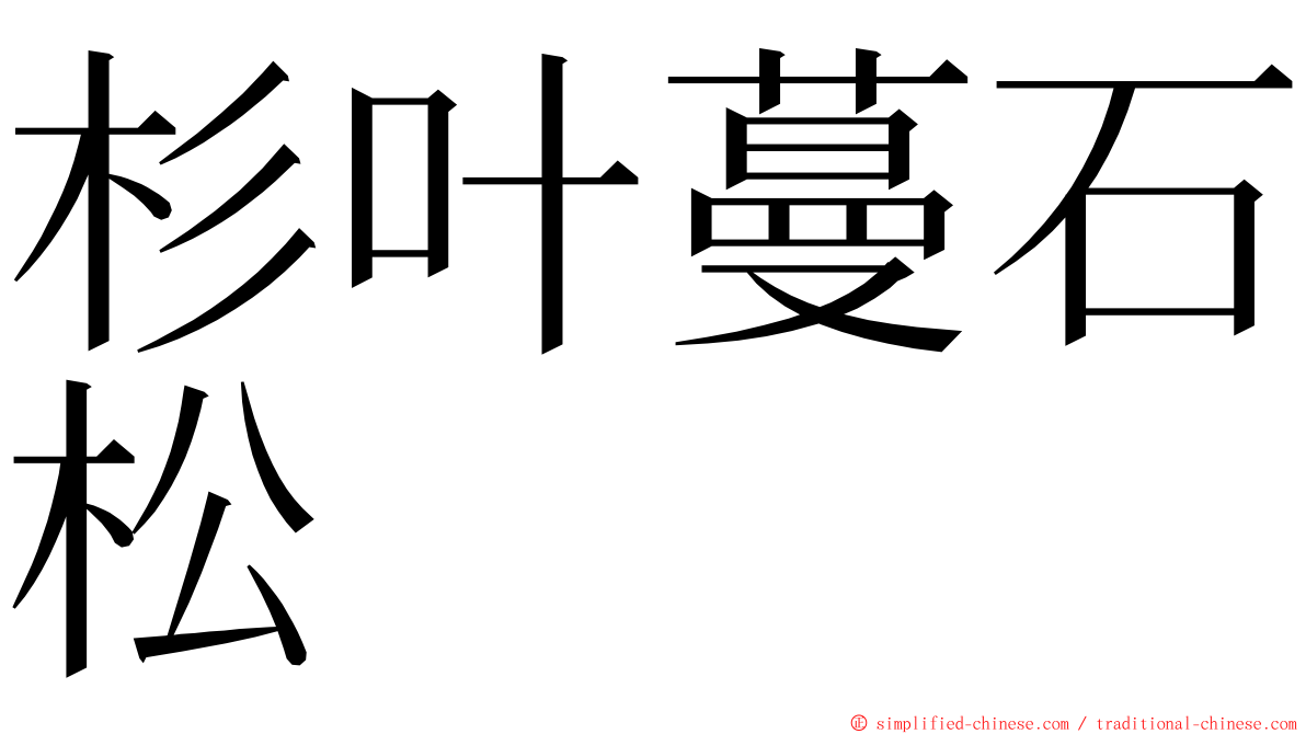 杉叶蔓石松 ming font
