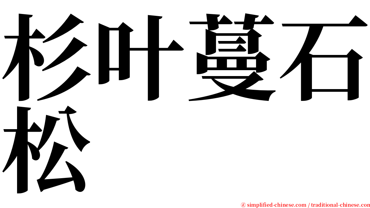 杉叶蔓石松 serif font
