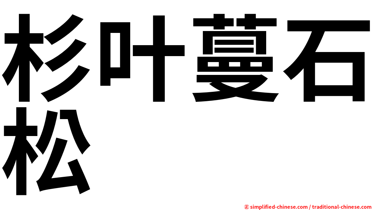 杉叶蔓石松