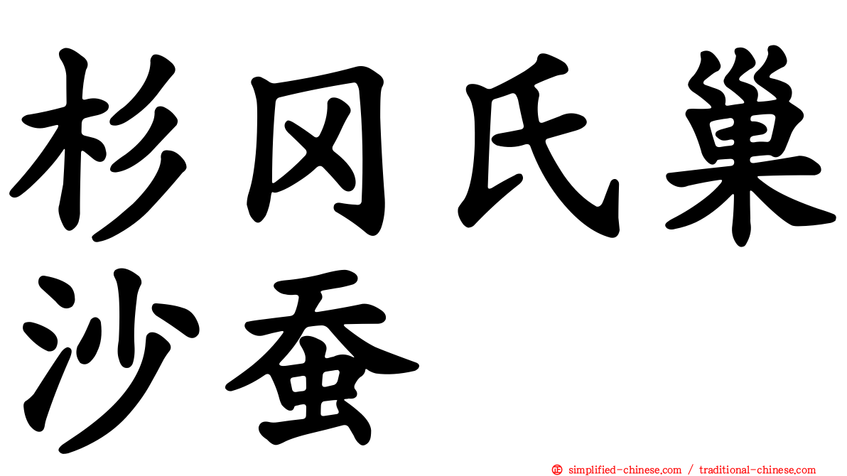 杉冈氏巢沙蚕