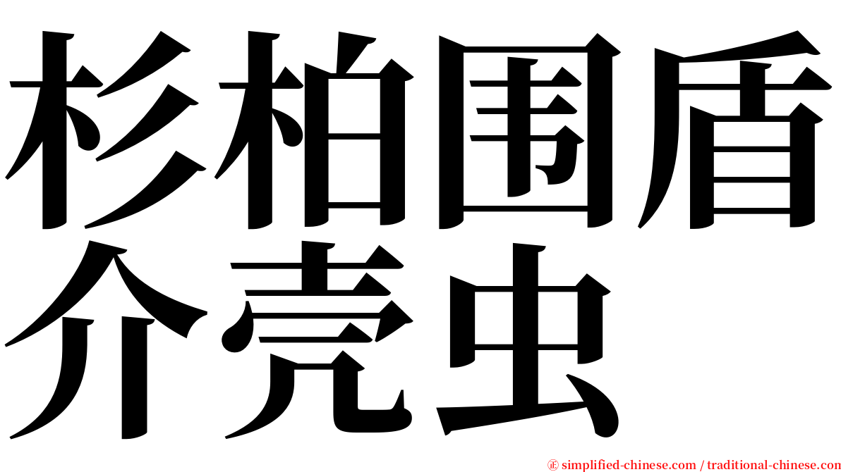 杉柏围盾介壳虫 serif font