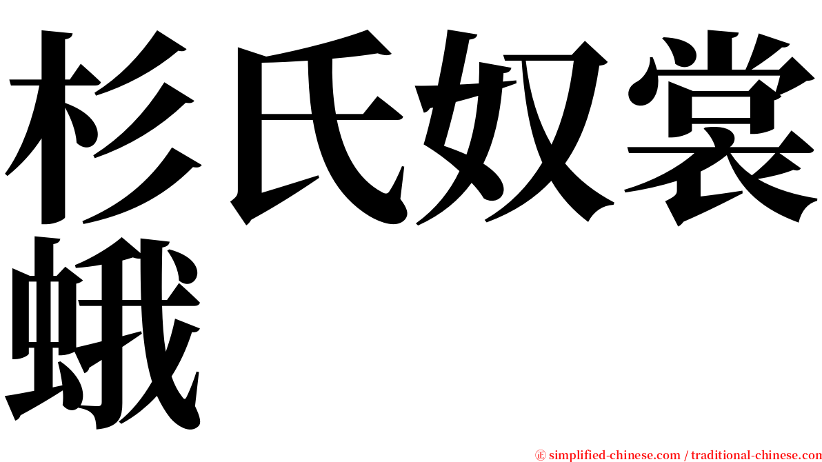 杉氏奴裳蛾 serif font