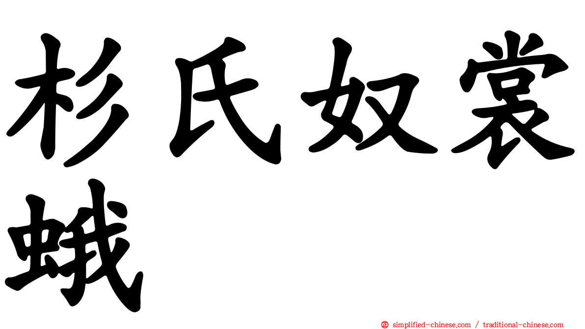 杉氏奴裳蛾