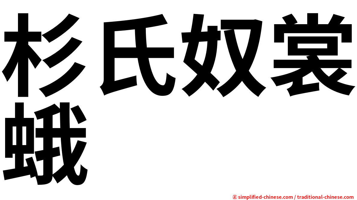 杉氏奴裳蛾