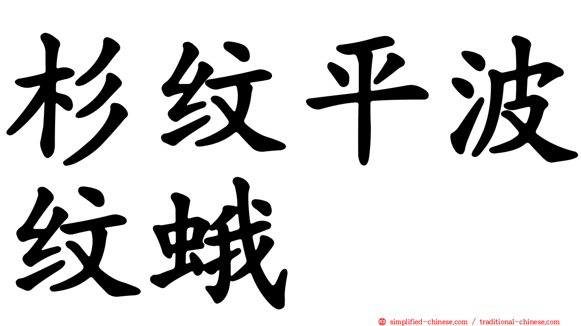 杉纹平波纹蛾