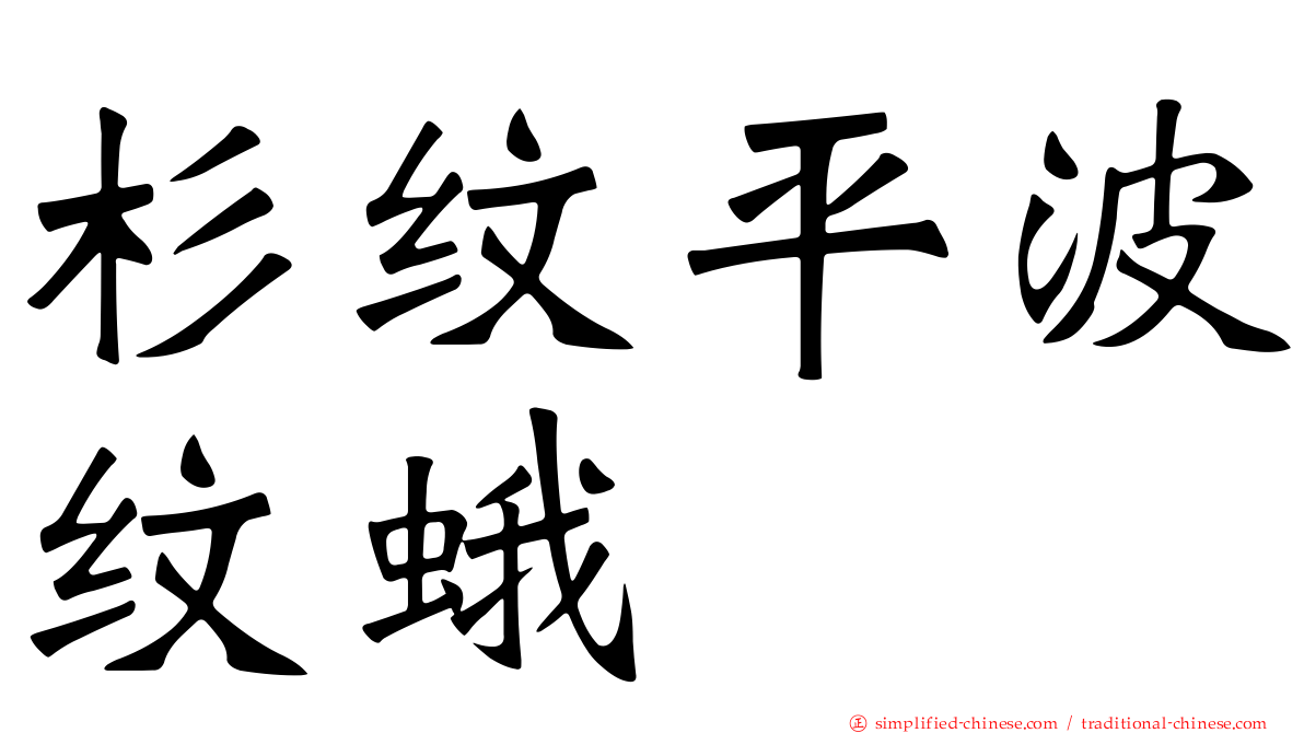 杉纹平波纹蛾