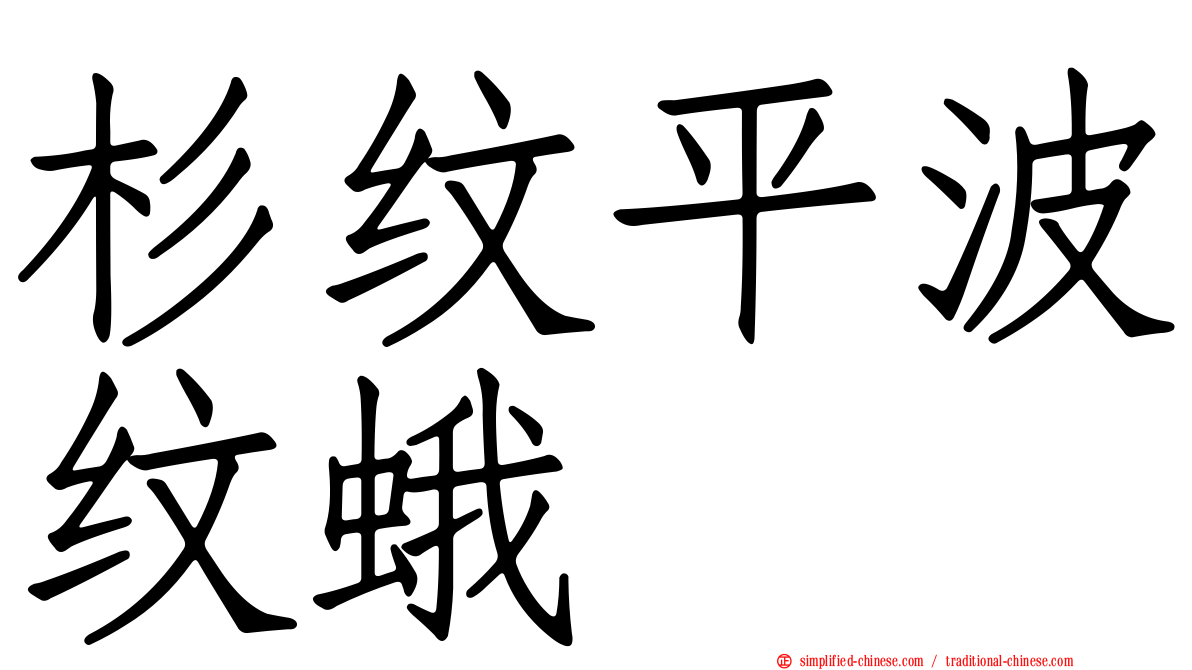 杉纹平波纹蛾