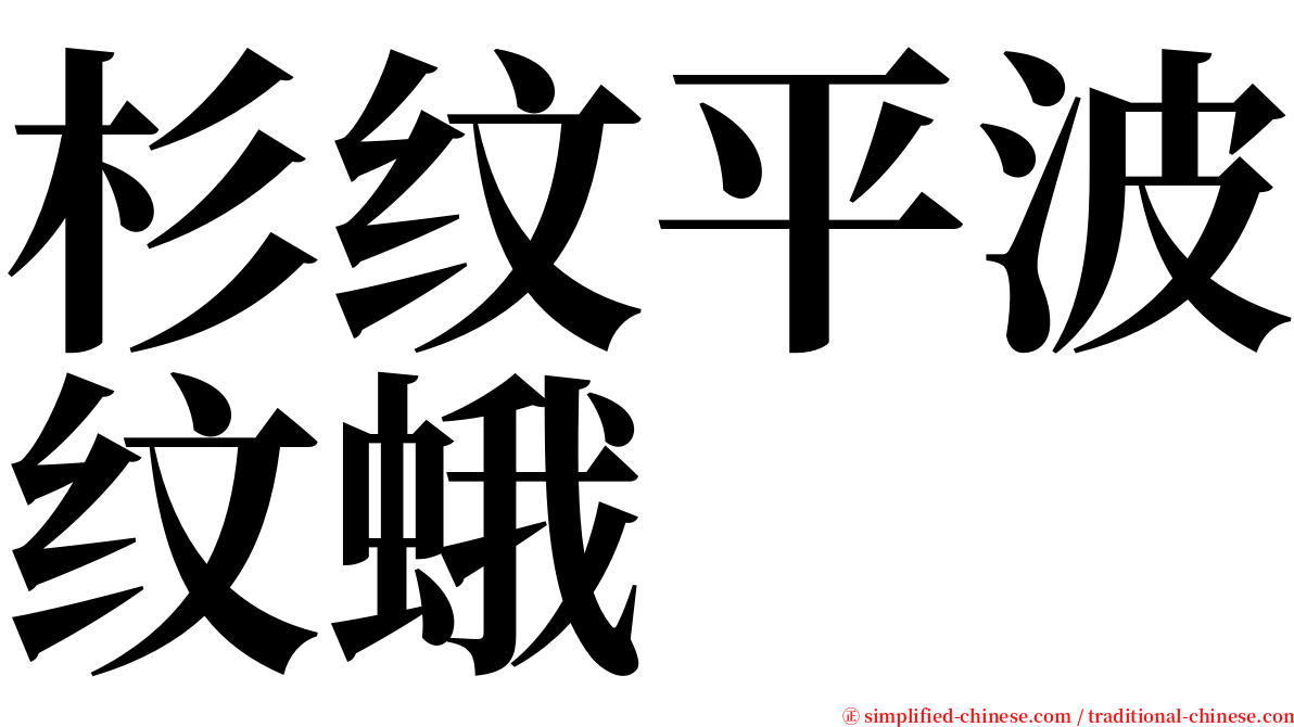 杉纹平波纹蛾 serif font