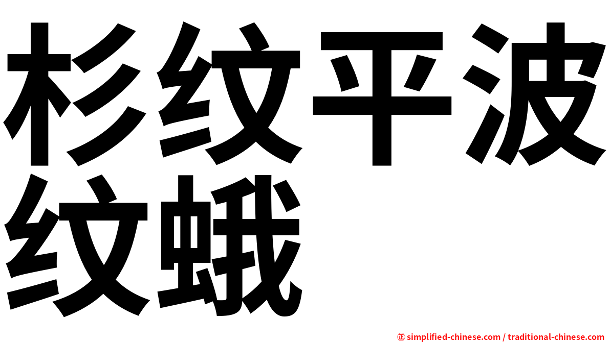 杉纹平波纹蛾