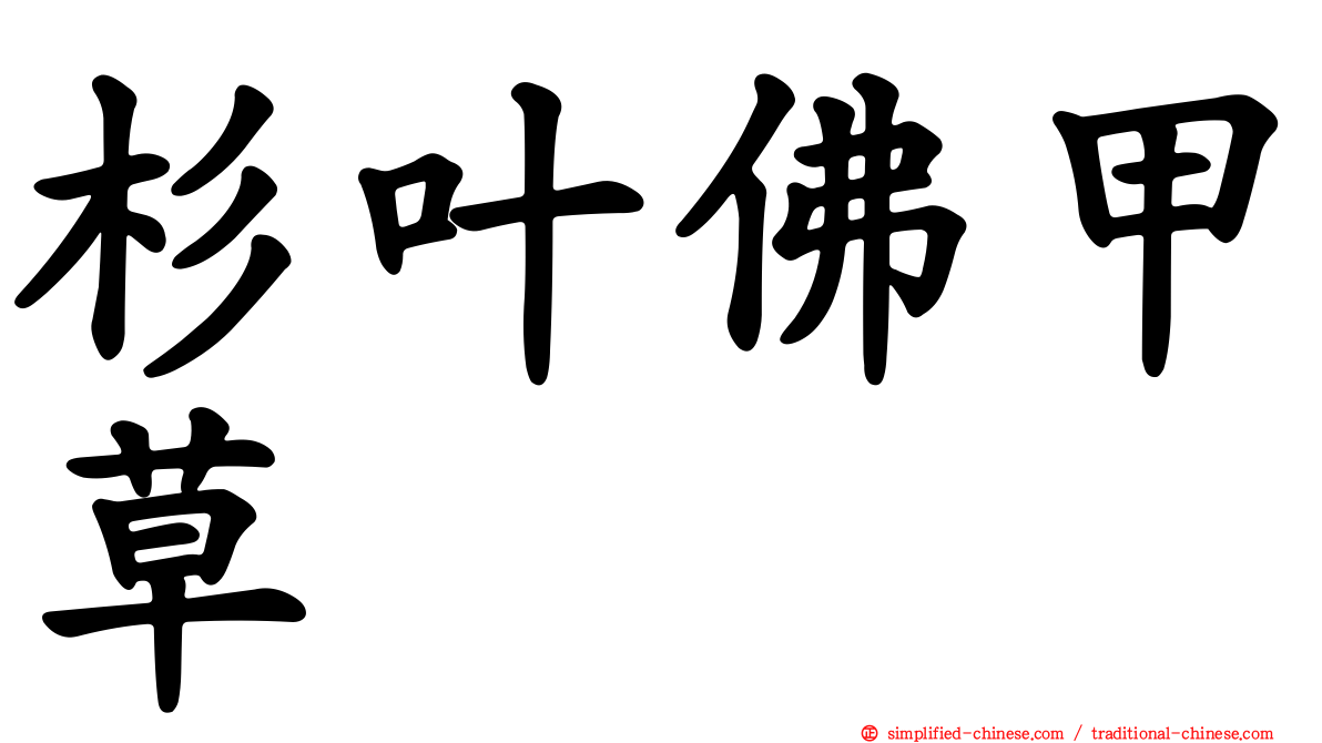 杉叶佛甲草
