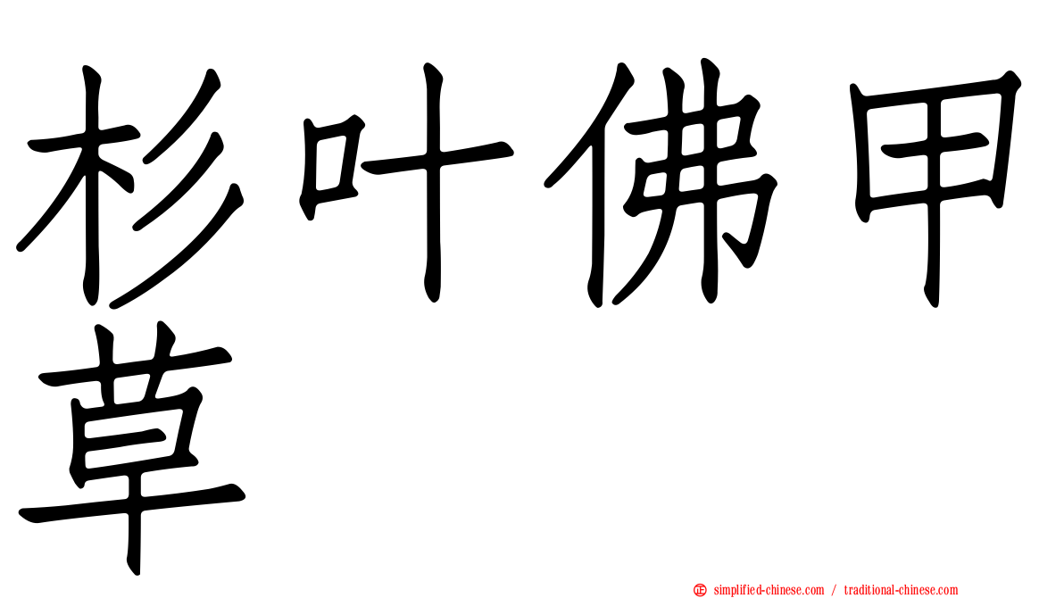 杉叶佛甲草