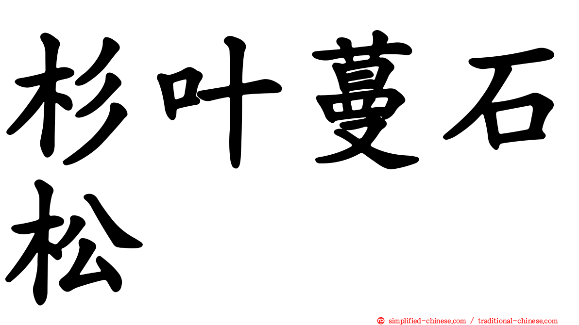 杉叶蔓石松