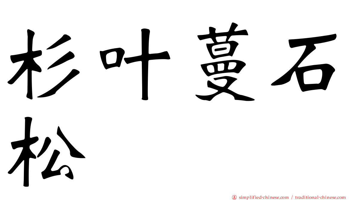 杉叶蔓石松