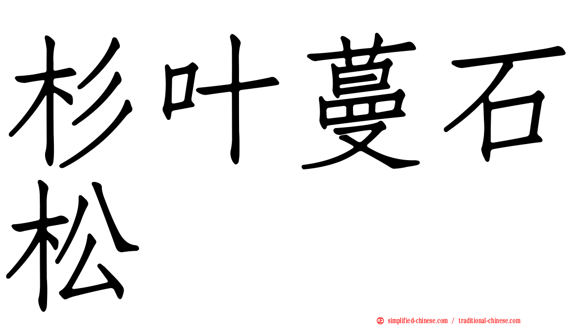 杉叶蔓石松