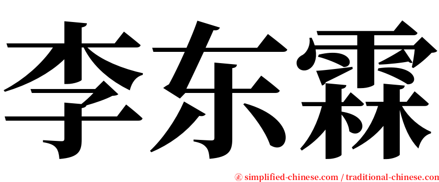 李东霖 serif font