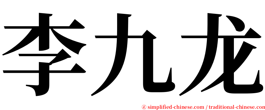 李九龙 serif font