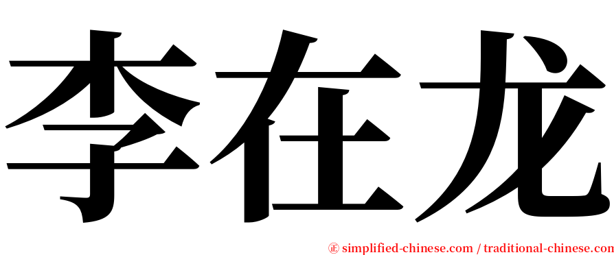 李在龙 serif font