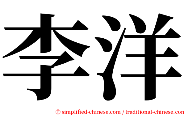 李洋 serif font