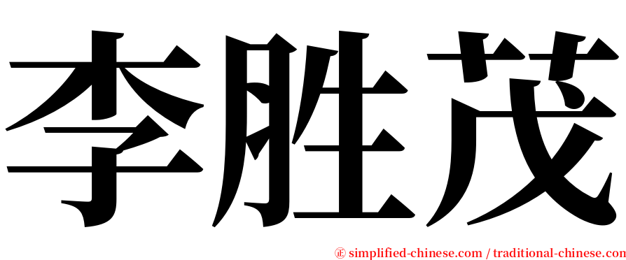 李胜茂 serif font