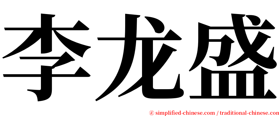 李龙盛 serif font