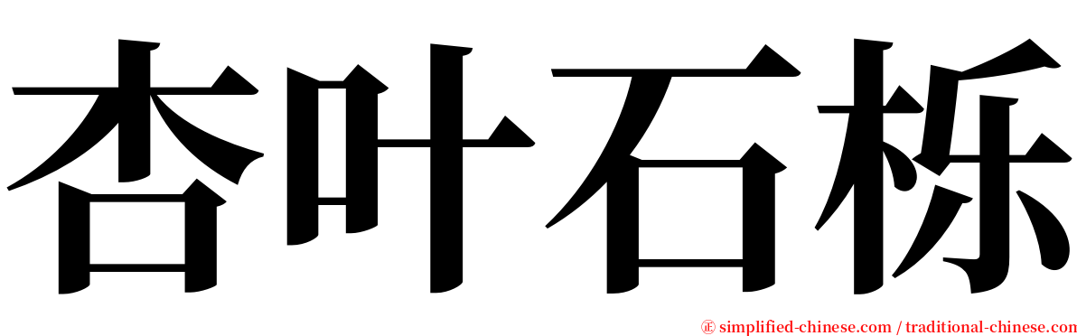 杏叶石栎 serif font