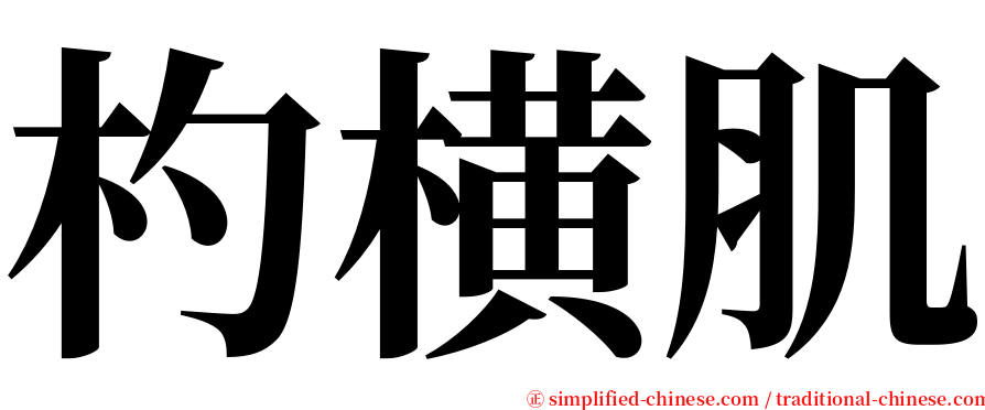 杓横肌 serif font