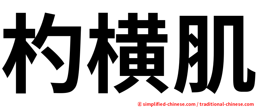杓横肌