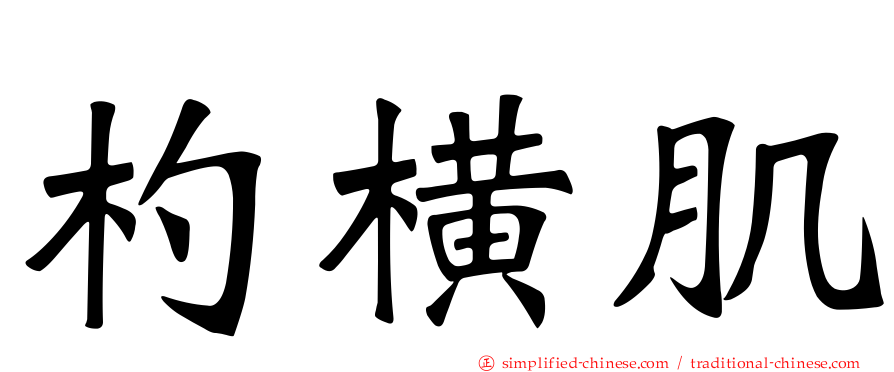 杓横肌