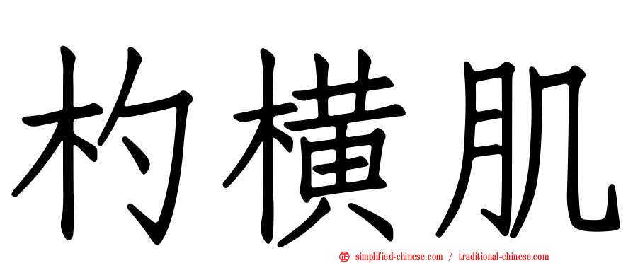 杓横肌