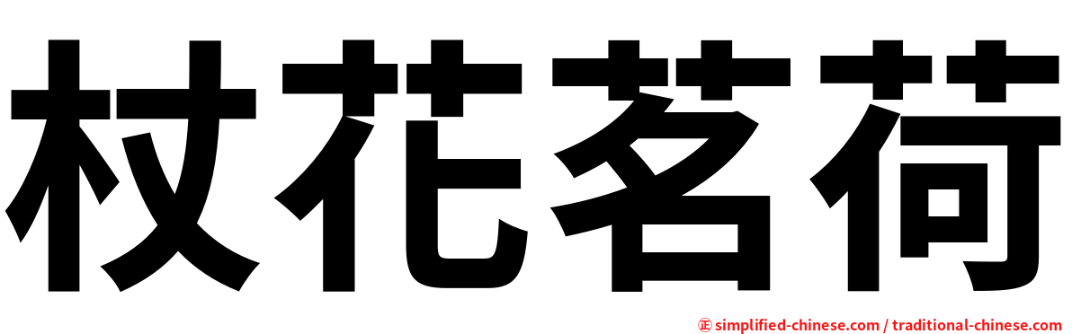 杖花茗荷