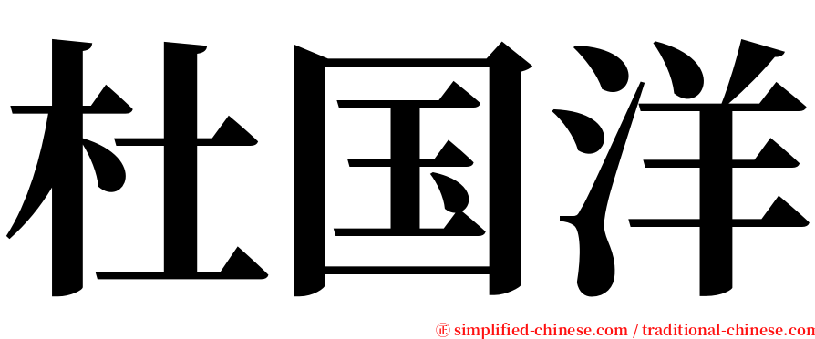 杜国洋 serif font