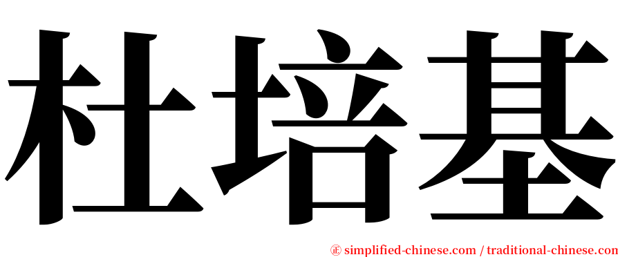 杜培基 serif font