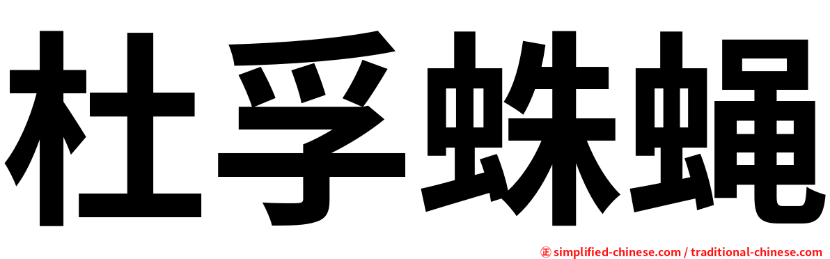 杜孚蛛蝇