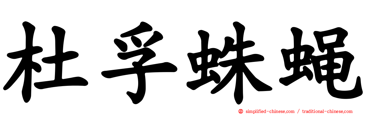杜孚蛛蝇