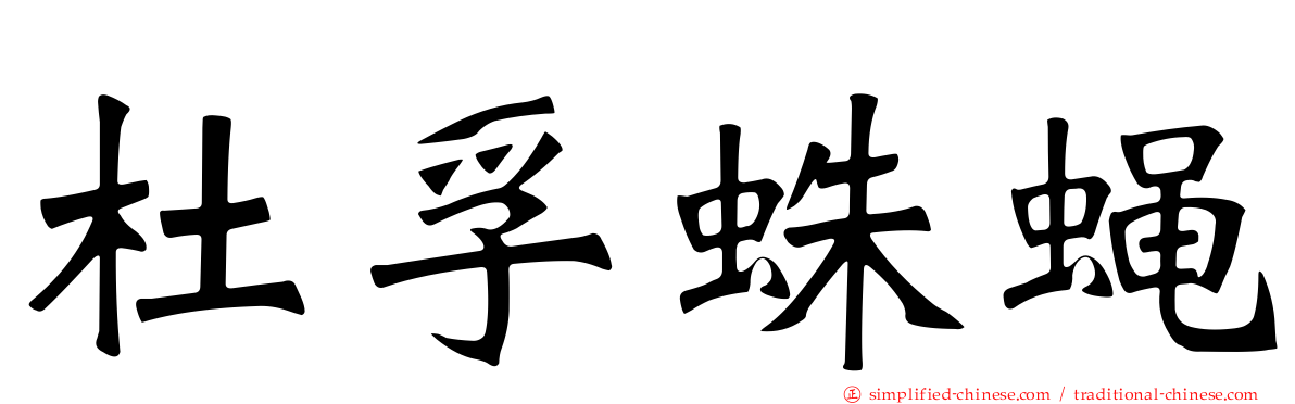 杜孚蛛蝇