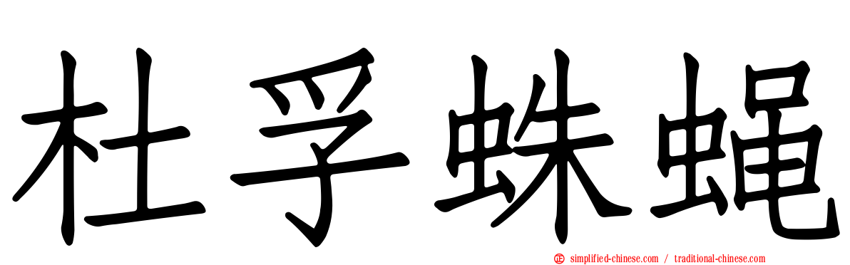 杜孚蛛蝇
