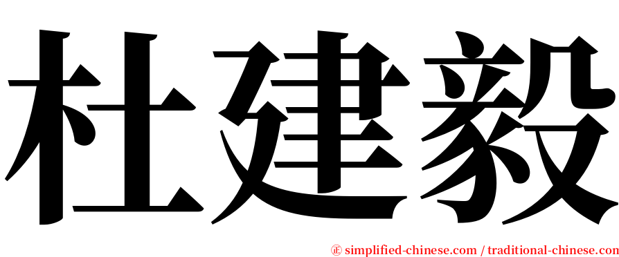 杜建毅 serif font