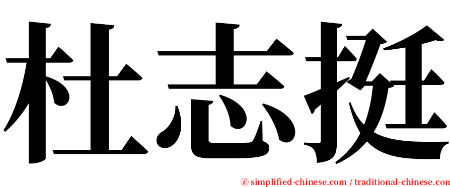 杜志挺 serif font