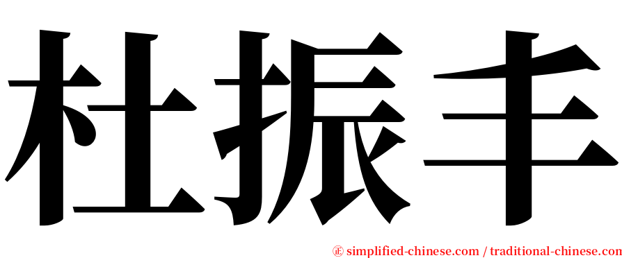 杜振丰 serif font