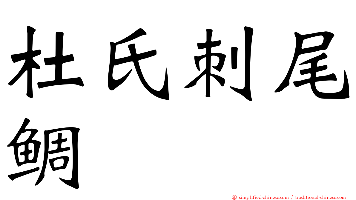 杜氏刺尾鲷