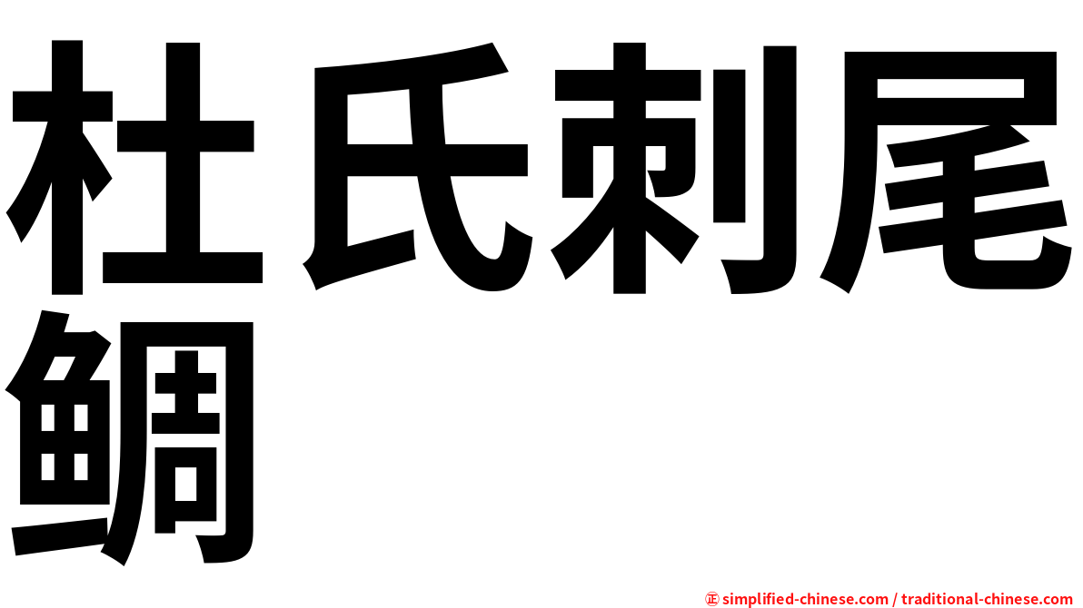 杜氏刺尾鲷