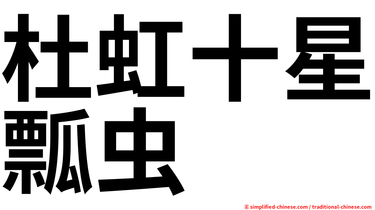 杜虹十星瓢虫