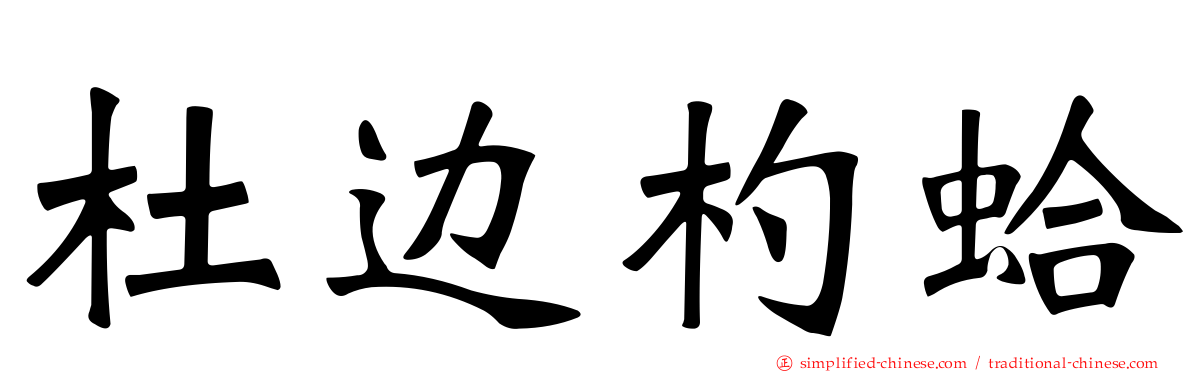 杜边杓蛤