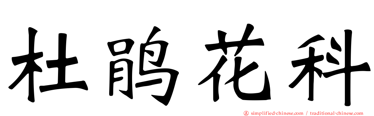 杜鹃花科