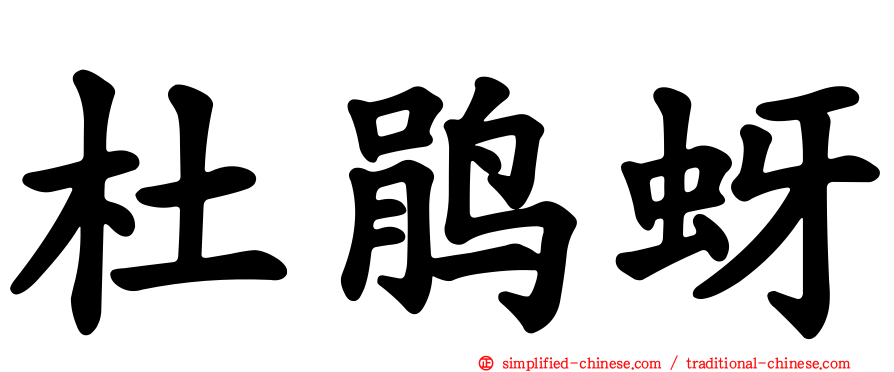 杜鹃蚜