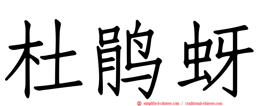 杜鹃蚜